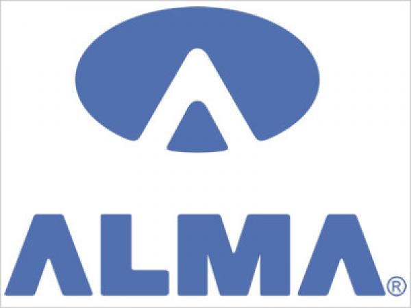 Alma Information Technology